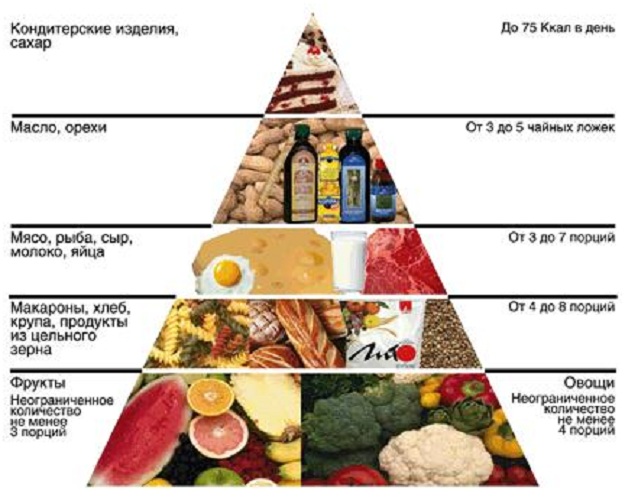 Пирамида питания2