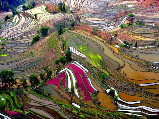Рисовые поля Юаньян, Китай