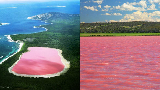 Розовое озеро Хиллиер, Австралия