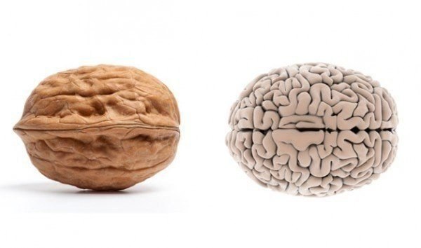 орехи для мозгов